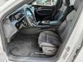 Audi Q8 Sportback 55 S line Matrix,Head-up,Kam e-tron Weiß - thumbnail 13