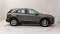 Ford Kuga 1.5 ecoblue Titanium Business 2wd 120cv Grigio - thumbnail 6