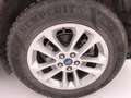 Ford Kuga 1.5 ecoblue Titanium Business 2wd 120cv Grigio - thumbnail 19
