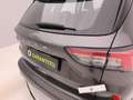 Ford Kuga 1.5 ecoblue Titanium Business 2wd 120cv Grigio - thumbnail 37