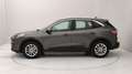 Ford Kuga 1.5 ecoblue Titanium Business 2wd 120cv Grigio - thumbnail 2