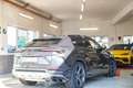 Lamborghini Urus AWD Aut. Gris - thumbnail 7