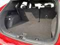 Ford Kuga ST-LINE X  2,5 PHEV CVT Rouge - thumbnail 19