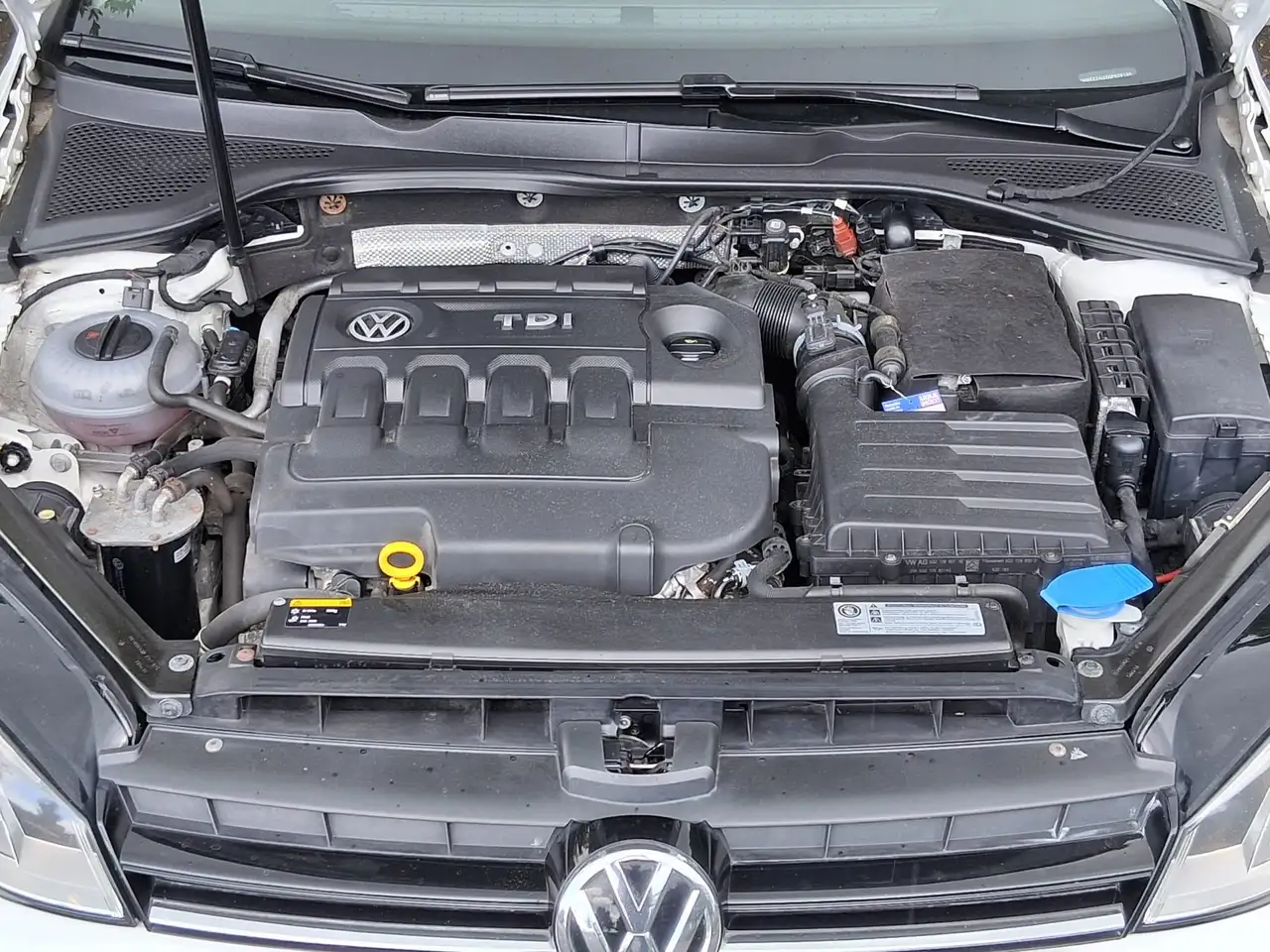 Volkswagen Golf Variant Bild 21
