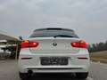 BMW 116 116i Msport ok!NEOPATENTATI Blanc - thumbnail 10
