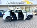SEAT Leon 1,2TSI Reference Ecomotive *nur79tkm* Weiß - thumbnail 10