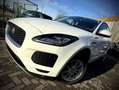 Jaguar E-Pace E-Pace 2.0 D AWD SE (EU6.2) Blanc - thumbnail 7