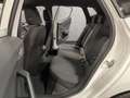 SEAT Ibiza 1.0 TSI FR, LED, Kamera, ACC, DAB, App-C. Weiß - thumbnail 8