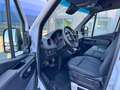 Mercedes-Benz Sprinter 316 CDI Lang Hoch Frischdienst Kerstner Blanc - thumbnail 9