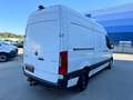 Mercedes-Benz Sprinter 316 CDI Lang Hoch Frischdienst Kerstner Blanc - thumbnail 6