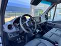 Mercedes-Benz Sprinter 316 CDI Lang Hoch Frischdienst Kerstner Blanc - thumbnail 11