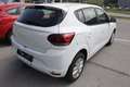 Dacia Sandero Expression TCe 90 Weiß - thumbnail 3