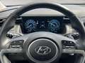 Hyundai TUCSON 1.6 T-GDI PHEV 4WD Prime Pano*AssistPaket - thumbnail 13