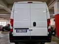 Citroen Jumper 33 BlueHDi 120 S&S PM-TM PREZZO+IVA 22% Bianco - thumbnail 5