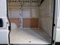 Citroen Jumper 33 BlueHDi 120 S&S PM-TM PREZZO+IVA 22% Bianco - thumbnail 11