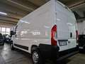 Citroen Jumper 33 BlueHDi 120 S&S PM-TM PREZZO+IVA 22% Bianco - thumbnail 6