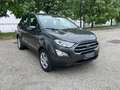 Ford EcoSport 1.0 EcoBoost 100 CV Plus Grijs - thumbnail 3