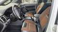 Ford Ranger Doppelkabine Wildtrak 3,2 TDCi 147kW (200 PS) Weiß - thumbnail 6