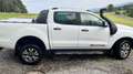 Ford Ranger Doppelkabine Wildtrak 3,2 TDCi 147kW (200 PS) Weiß - thumbnail 5