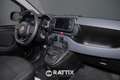 Fiat Panda 1.0 Firefly Hybrid 70CV Cross 5p.ti Bleu - thumbnail 16