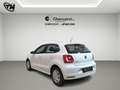 Volkswagen Polo 5p 1.4 tdi bm Comfortline 75cv Wit - thumbnail 7