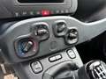 Fiat Panda 1.0 hybrid s&s 70cv Blanco - thumbnail 14