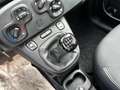 Fiat Panda 1.0 hybrid s&s 70cv Blanco - thumbnail 15