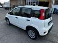 Fiat Panda 1.0 hybrid s&s 70cv Blanco - thumbnail 4