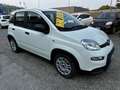 Fiat Panda 1.0 hybrid s&s 70cv Blanco - thumbnail 2