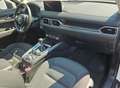 Mazda CX-5 CX-5 G165 e-Skyactiv MHEV AWD Exclusive-Line Weiß - thumbnail 11