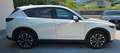Mazda CX-5 CX-5 G165 e-Skyactiv MHEV AWD Exclusive-Line Weiß - thumbnail 4