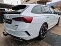 Skoda Octavia RS S.W. 2.0TDI200Cv 4x4ACC LED DSG VirCock Keyless Bianco - thumbnail 3