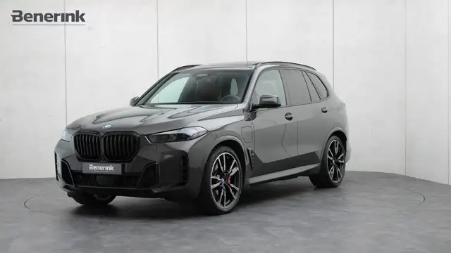 2023 BMW X5 in Grey for sale