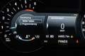 Ford Galaxy 2,0 EcoBlue SCR AWD Titanium Aut. ACC, AHK elek... Bleu - thumbnail 16