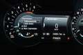 Ford Galaxy 2,0 EcoBlue SCR AWD Titanium Aut. ACC, AHK elek... Bleu - thumbnail 12