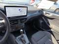Ford Focus Turnier 1,0 EcoBoost Hybrid ST-Line X Aut. Weiß - thumbnail 8