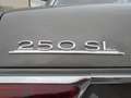Mercedes-Benz SL 250 250 SL PAGODE VERSION CALIFORNIA Grau - thumbnail 9