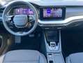 Skoda Octavia 1.5 TSI mHEV DSG Selection*Kamera*DAB Grey - thumbnail 11