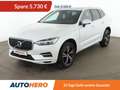 Volvo XC60 2.0 T8 Plug-in Hybrid Inscription AWD Aut.*NAVI* Weiß - thumbnail 1