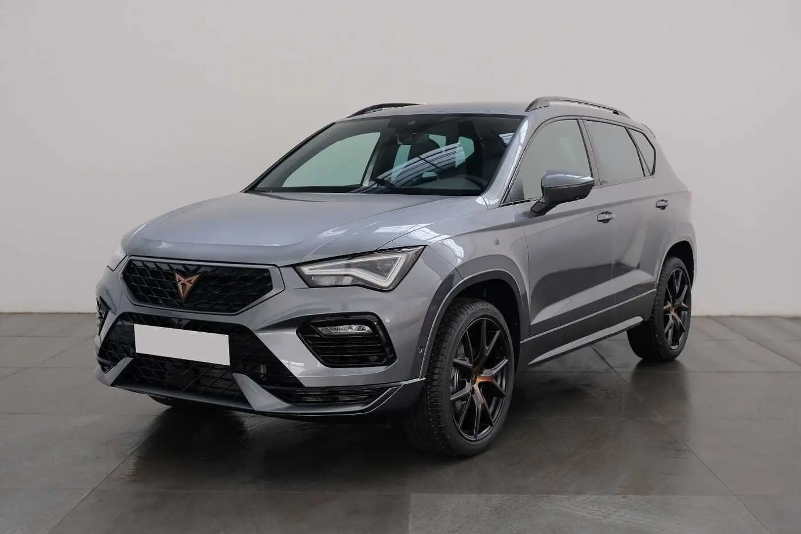 CUPRA Ateca 1.5 TSI 150cv DSG Grigio - 1