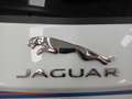 Jaguar E-Pace E-Pace 2017 2.0d i4 R-Dynamic SE awd 150cv Weiß - thumbnail 18