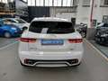Jaguar E-Pace E-Pace 2017 2.0d i4 R-Dynamic SE awd 150cv Weiß - thumbnail 7