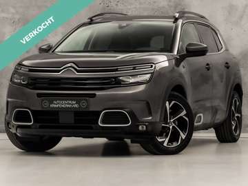 1.6 Plug-in Hybrid 225 Shine 225Pk Automaat (APPLE