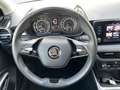 Skoda Fabia Style Kamera, Alu, Klimaaut. Gris - thumbnail 16