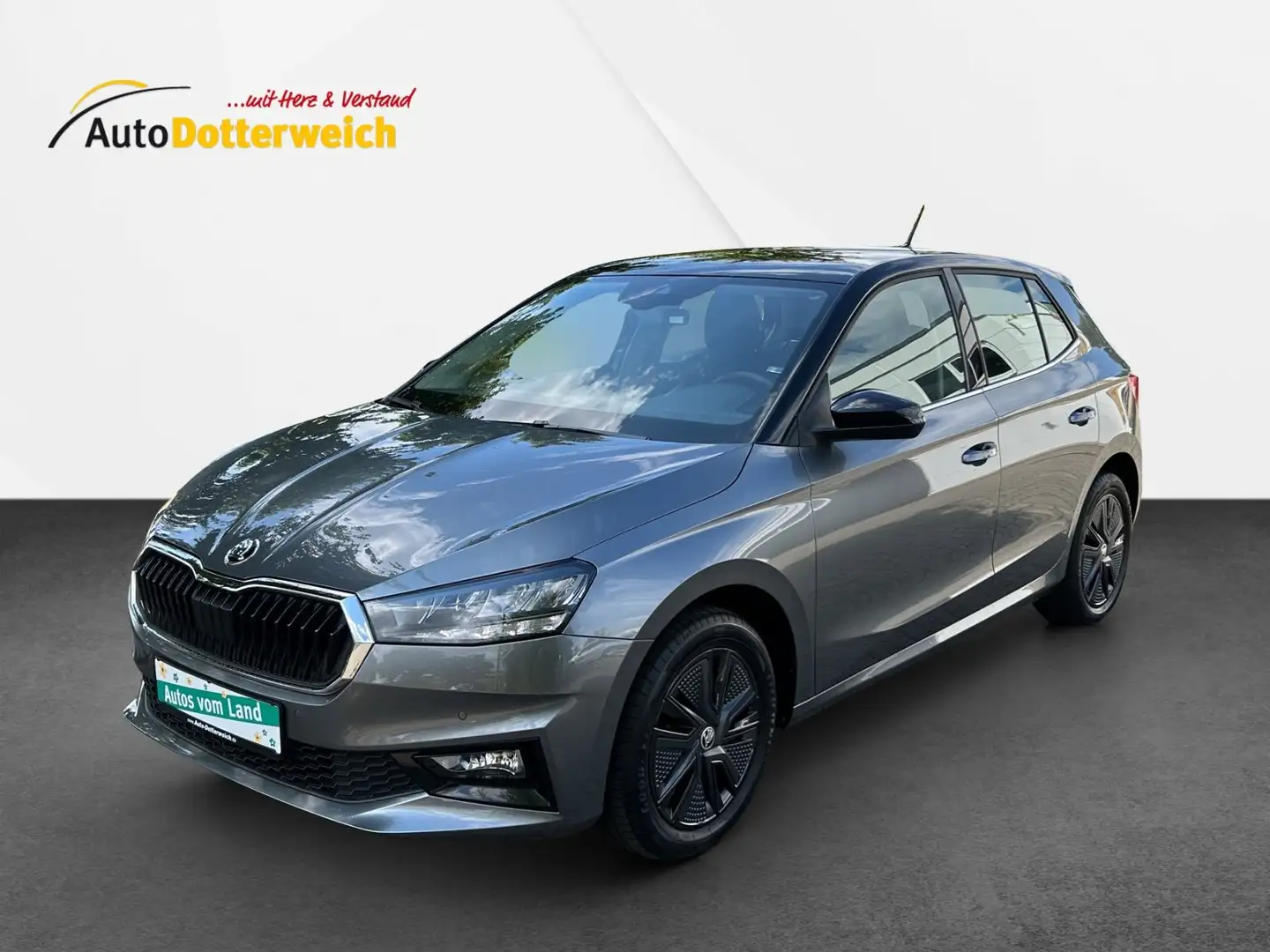 Skoda Fabia Style Kamera, Alu, Klimaaut. Gris - 1