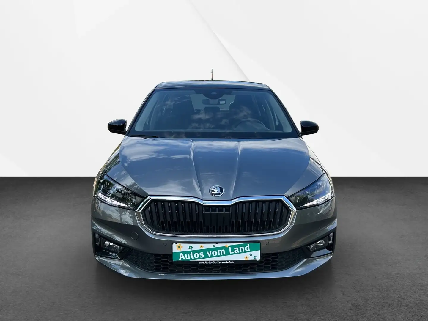 Skoda Fabia Style Kamera, Alu, Klimaaut. Gris - 2