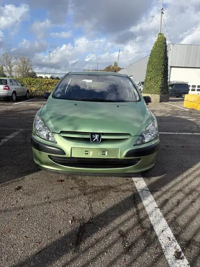 Peugeot 307 1.4i XR