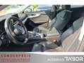 Audi A4 Avant 2.0 TDI S-tronic AHK Leder Navi GRA PDC - thumbnail 8