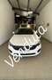 Fiat Tipo 5p 1.6 mjt Easy Business s&s 120cv my19 - thumbnail 1