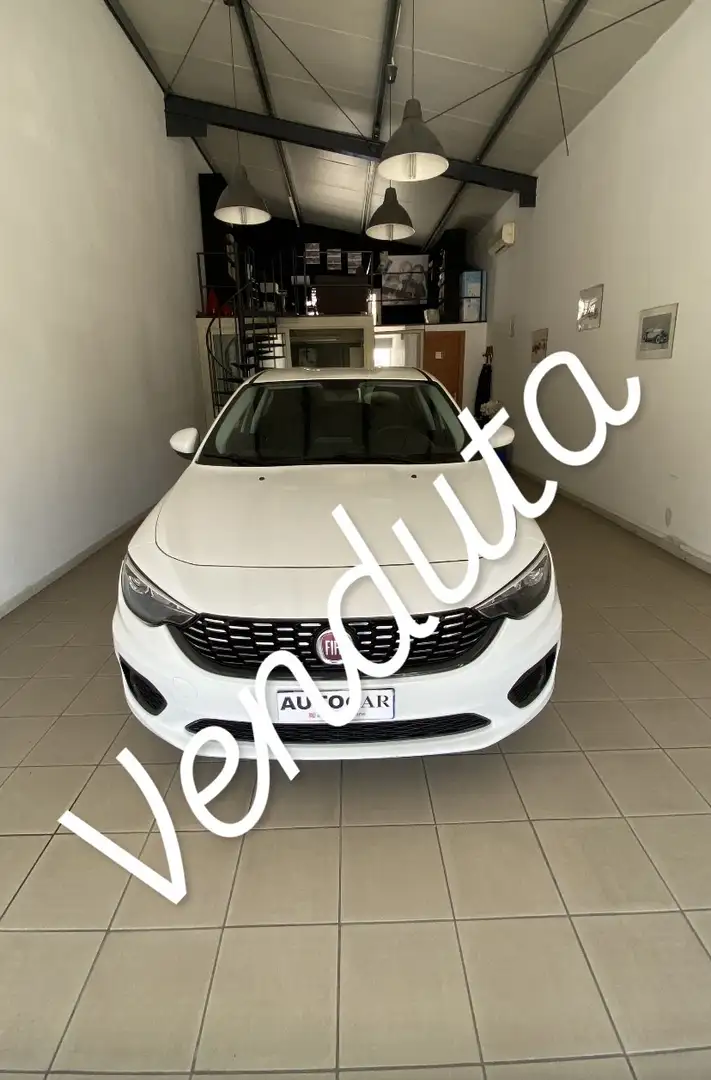 Fiat Tipo 5p 1.6 mjt Easy Business s&s 120cv my19 - 1